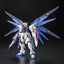 RG 1/144 #05 Freedom Gundam