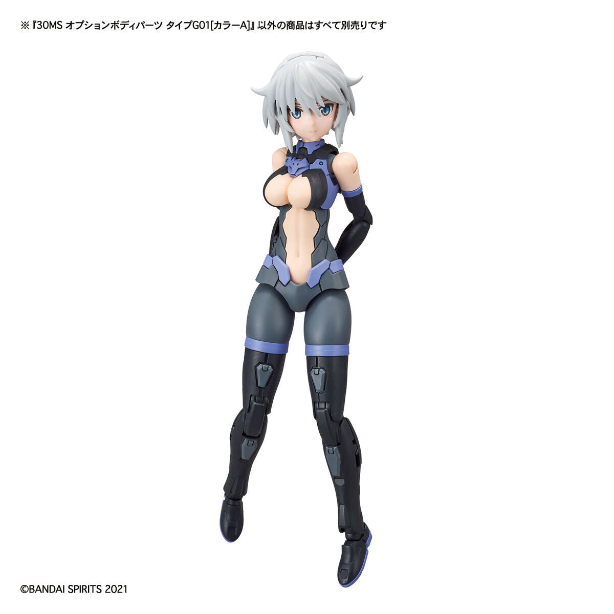 30MS OPTION BODY PARTS TYPE G01 [COLOR A]
