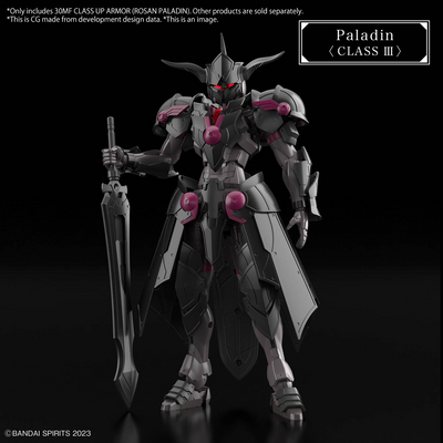 30MF CLASS UP ARMOR (ROSAN PALADIN)